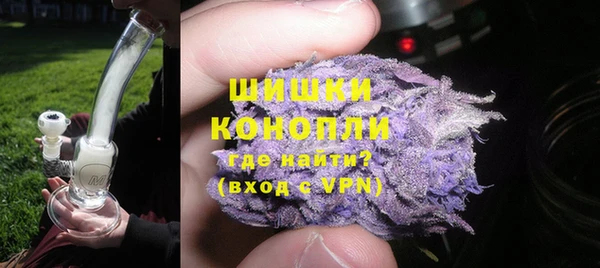 трава Арсеньев