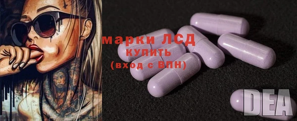 СК Аркадак