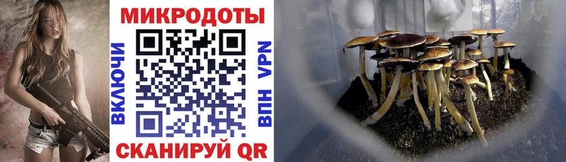 Галлюциногенные грибы Magic Shrooms  где купить наркоту  Барыш 